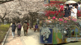4년 만에 돌아오는 대면축제