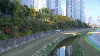 낮 최고 22.6도..내일도 맑고 큰 일교차
