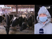 업무는 늘어나는데.. 외면받는 수의직 공무원