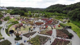 울산시, 지역축제 안전관리 합동점검