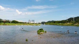 울산 조류 소식 전하는 새 통신원 모집