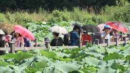 회야댐 생태습지 탐방행사 다음 달 열려