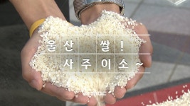 울산 쌀! 많이 사주이소~ (2024.11.19)