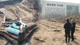 우리 땅은 언제쯤‥ 나무도 못 옮겨 심어