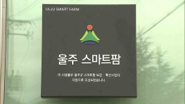 울주군, 올해 5곳에 스마트팜 설비 구축