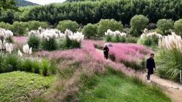 태화강 국가정원 가을축제 24일 개막