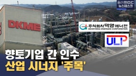향토기업 간 인수‥산업 시너지 주목