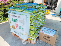 중앙교구, 지역 곳곳에 나눔 실천