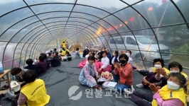 제2회 신흥마을 당산나무 음악회