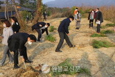 청운회, 청운숲 1호 조성