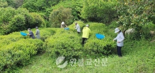 좋은 차는 그냥 만들어지지 않는다