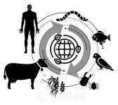 [일원 108상] 원불교는 세계주의 종교, 전생령주의 종교