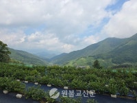 문경다원- 하늘과 통하고 자연에 녹아드는 힐링스팟