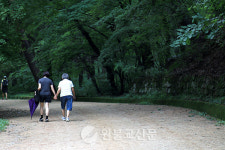 문경- 산길·물길·찻길… 길 위 걸으며 마음 찾는다