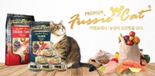카디날코리아, 유기동물보호 위한 모금행사 진행