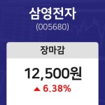 (내외마감) 19일 삼영전자 마감증시 12500원...