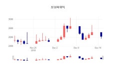 12월 19일 보성파워텍 주식종목시세 3.40% 2740원