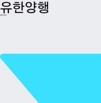 오늘주식장 유한양행 주가 28일  현재 204000원