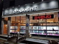 인천·서울·일산·수원 강아지분양 아담스펫, 포메라니안·비숑프리제 졸업기념 50% 분양할인 및 방문 이벤트 진행