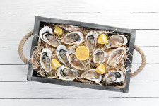 현재는 석화 제철, 보양식으로 알려진 석화… 자연산과 양식의 차이는?