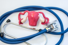 비만 및 지나친 음주가 자궁근종 유발, 증상은?…자궁에 좋은 음식으로 예방해야