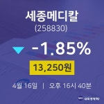 세종메디칼주식그래프  16일  현재 13250원