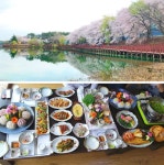 군산 맛집투어, 벚꽃길과 함께 가심비 훌륭한 서해안 3대횟집 새만금횟집