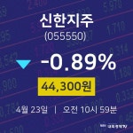 신한지주오늘주식장  23일  현재 44300원