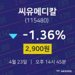 주식종목 씨유메디칼 주가 23일  현재 2900원