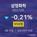 삼영화학주식추천주  25일  현재 958원