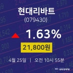 증권투자 현대리바트 주가 25일  현재 21800원