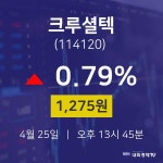 주식시세현황 크루셜텍 주가 25일  현재 1275원