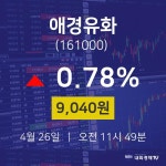 증권매매 애경유화 주가 26일  현재 9040원