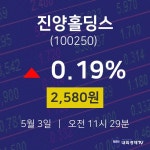 증권주식 진양홀딩스 주가 3일  현재 2580원