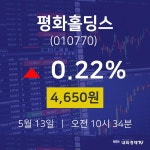 오늘증시 평화홀딩스 주가 13일  현재 4650원