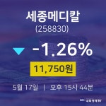 세종메디칼주식현재가  17일  현재 11750원