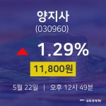 주식종목 양지사 주가 22일  현재 11800원