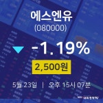 5월 23일 에스엔유 투자주식 -1.19% 2500원