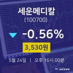 주식주가 세운메디칼 주가 24일  현재 3530원