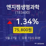 5월 27일 엔지켐생명과학 주가그래프 1.34% 75800원