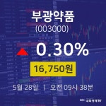 주식주가 부광약품 주가 28일  현재 16750원