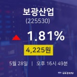 5월 28일 보광산업 투자주식 4225원  1.81%