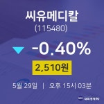 오늘주식장 씨유메디칼 주가 29일  현재 2510원