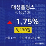 대성홀딩스주식그래프  12일  현재 8130원