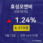 효성오앤비주가차트  12일  현재 8970원