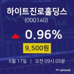 6월 17일 하이트진로홀딩스 주식종목검색 9500원  0.96%