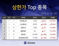 [코스피·코스닥] 코스피 410위 나노메딕스 주식 상한가 종목 2위... +29.94% 상승한 9070원 