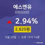 6월 20일 에스엔유 투자주식 2.94% 2625원 