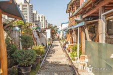 근대역사의 도시 군산…여행코스도 알차다? 군산 가볼만한 곳 추천