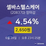 [특징주분석 종목정보] 6월 28일 셀바스헬스케어 2650원으로 장 마감